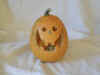 halloween7.jpg (46461 Byte)