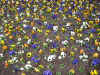 tspark01.jpg (194214 Byte)