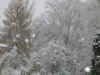 snow2007111103.jpg (190686 Byte)